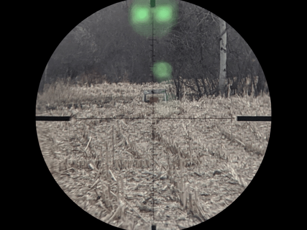 Psalm 144 & Disciple Defense&nbsp;Group